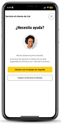 Búsqueda de código de fallas